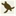 neotropico.org