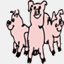 individualprogrammer.com