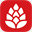 brightstartelecom.com.au