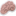 brainpowerwebsites.com