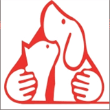 cliniqueveterinairejasmin.com