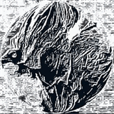 cattlecutting.com