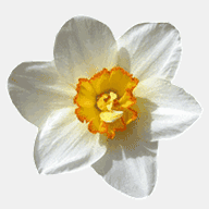 gitesdelarocheromaine.net