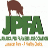 jamaicawanderer.com