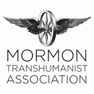 newscelebritygossip.com