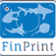 globalfinprint.org