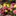 crashboomzip.wordpress.com