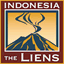 teamindonesia.org