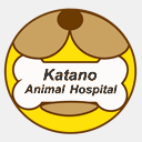 katano-ah.com