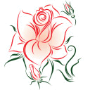 bustytaraofleeds.co.uk