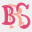 bersuss.es