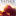 paintwithcode.com