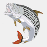 matsumoto-sangyo.com