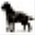 labradorskyretriever.cz