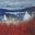 jimwoodman.co.uk