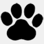 curiouskitten.co.za
