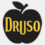 drusobg.it