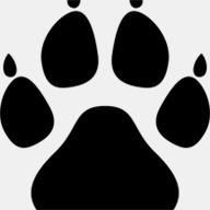 kaceylanier.com
