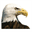 eagle.in