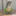 parrotbreeding.blogspot.com