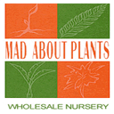 madaboutplants.com.au