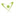 envisolutions.eu