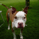 awkwardmorningafter.com