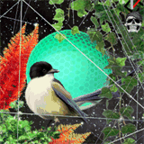 mp3converterplus.com