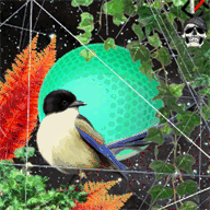 mp3converterplus.com