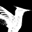 hummingbirdstudio.ca