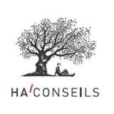 haconseils.com