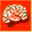 brain-maps.com