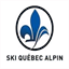 skiquebec.qc.ca