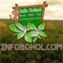 infobohol.com