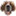 robertsoninteractive.com