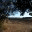 lodevewalkers.wordpress.com