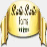 balleballefarms.com
