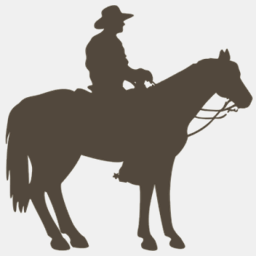 western-riding-clothing.com