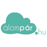 budsflowerschicago.com