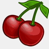 ferienwohnung-witzenhausen.de