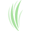 thevirgoproject.com