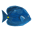 bluetang.org
