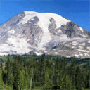 trainingformtrainier.com