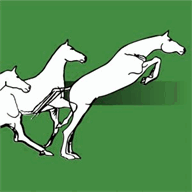 horsebodybalance.com