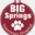 bigspringsvet.com