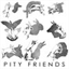 pityfriends.bandcamp.com