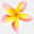 thingstodoonmauiblog.com