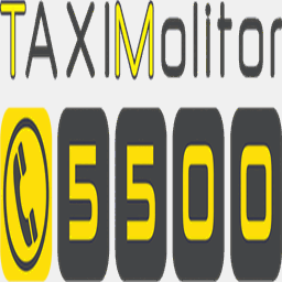 taxi-molitor.de