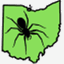 spidersinohio.net