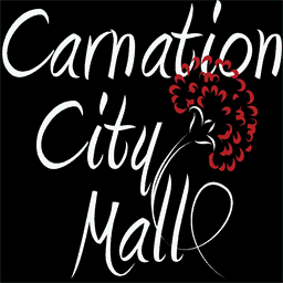 carnationcitymall.com